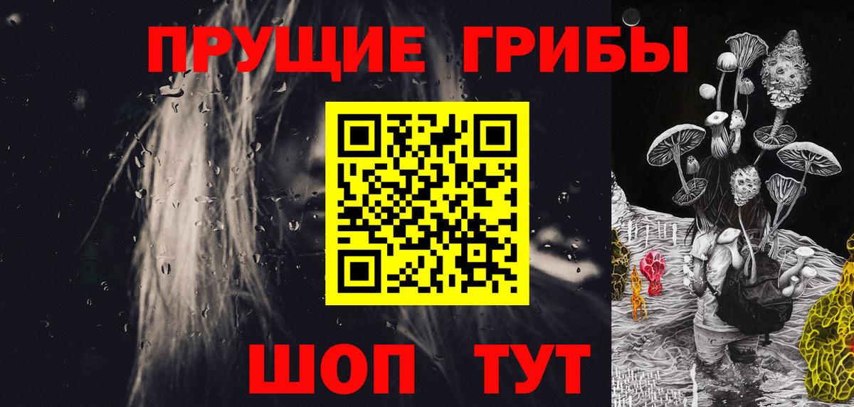 Галлюциногенные грибы GOLDEN TEACHER  Вход с VPN  даркнет сайт  Коркино 